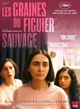 《神圣无花果之种》影评：伊朗家庭伦理剧，在禁锢与挣扎中窥探人性的复杂