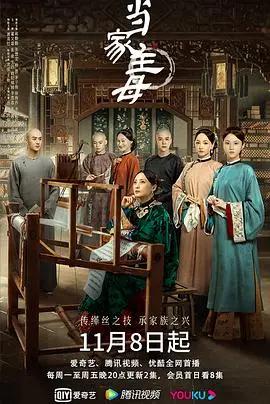 《当家主母》：乱世红颜，织就百年风华，看民间绣娘如何翻转命运。